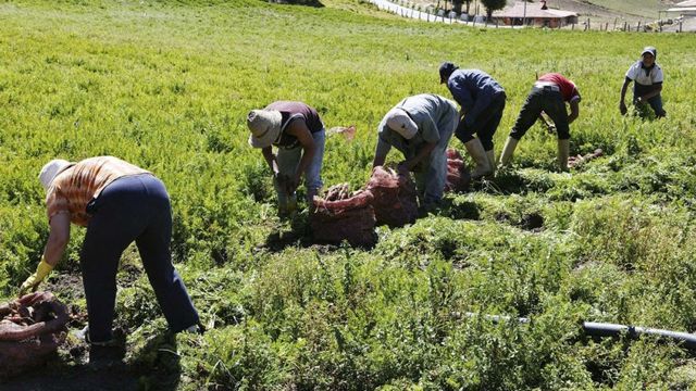 Fedeagro: Sin los productores no es posible rescatar el campo
