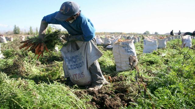 Agricultores presentan plan a la AN por $ 6.800 millones.