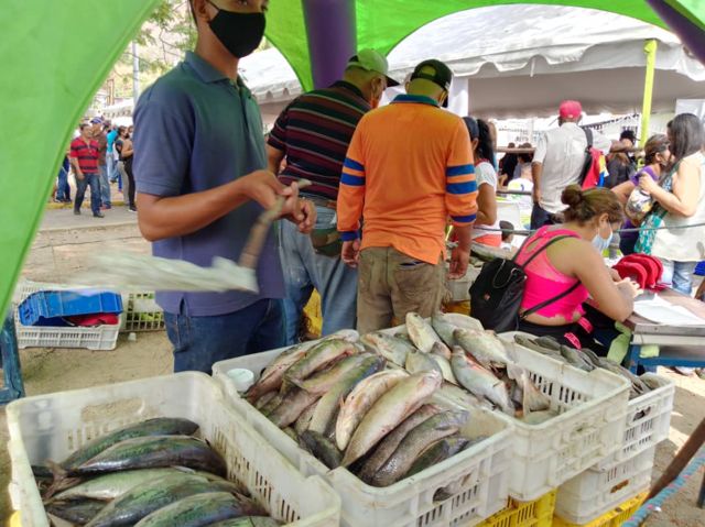 ferias del campo soberano