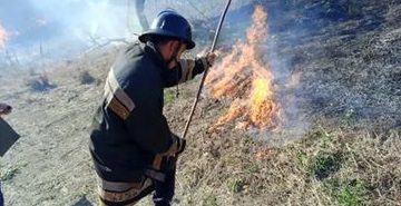 Bomberos Forestales