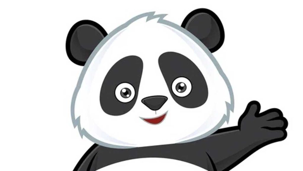 Oso panda