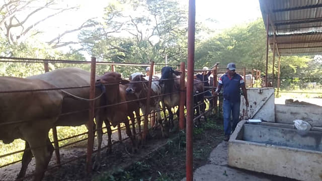 escuelas técnicas