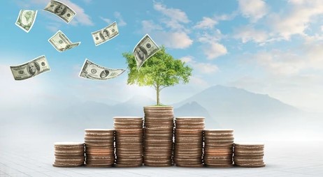 Dólar bcv 8 de mayo