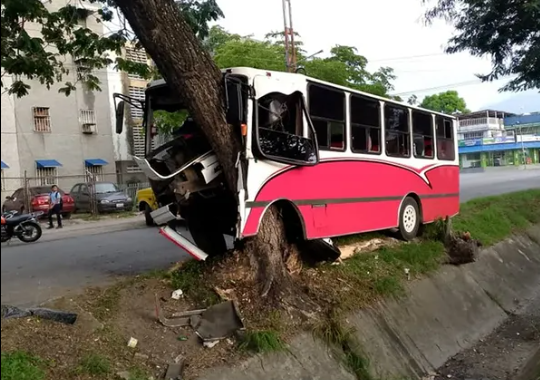 colisionó contra un árbol