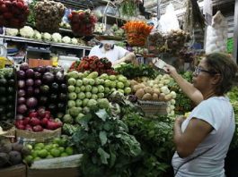 Verduras y hortalizas