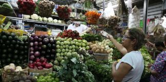 Verduras y hortalizas
