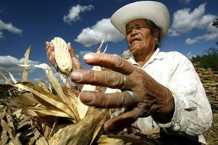 juez agrario de guárico tsj