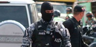 Faes, Fuerzas de Acciones Especiales