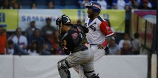 Tiburones-Leones