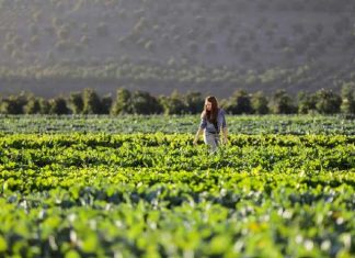 Agricultura