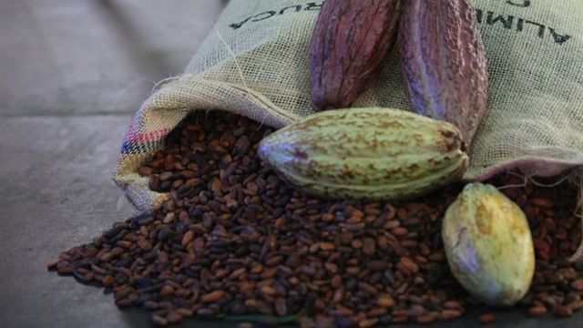 Cacao