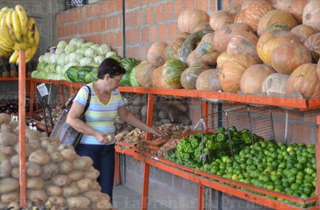 Verduras y hortalizas