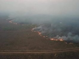 Incendios en la Amazonía.