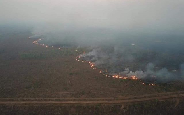 Incendios en la Amazonía.