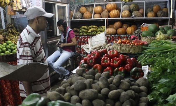 Verduras y hortalizas