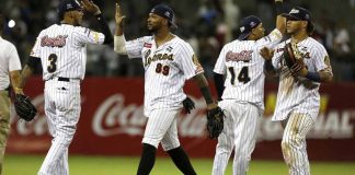 Leones del Caracas