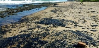 Derrame de petróleo en la playa Pontal de Coruripe una de las afectadas.