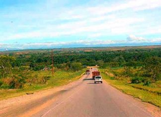 LAS MERCEDES DEL LLANO - CABRUTA