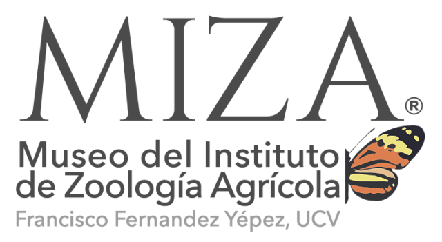 miza ucv