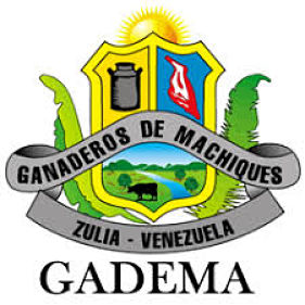 gadema