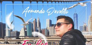 Armando Davalillo