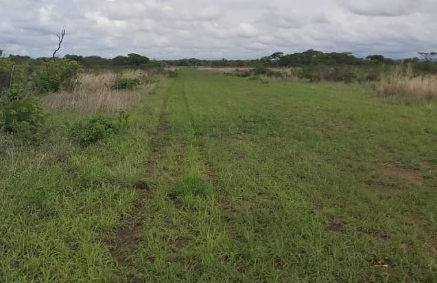 pista de aterrizaje - ortiz 