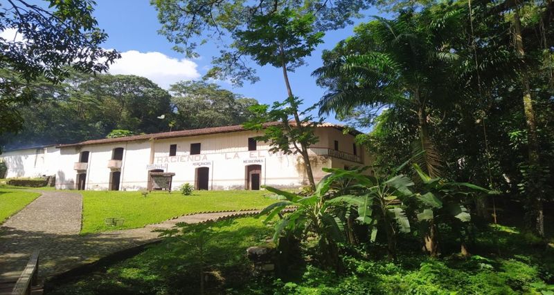 PARQUE NACIONAL GUATOPO 