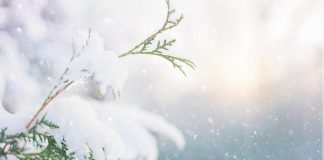 regalos de Navidad