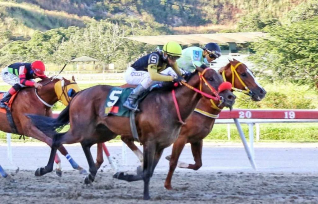 Aquí los mejores datos para este domingo 21 de agosto en La Rinconada