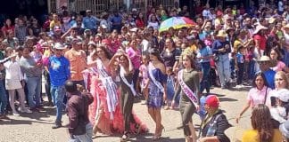 Desfile de carnaval