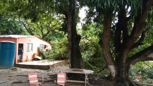 barrio los naranjos san juan de los morros 