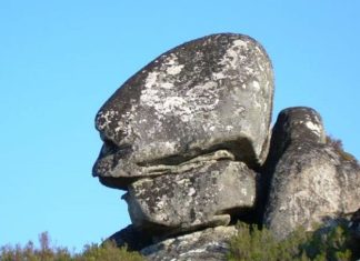 lecho de roca