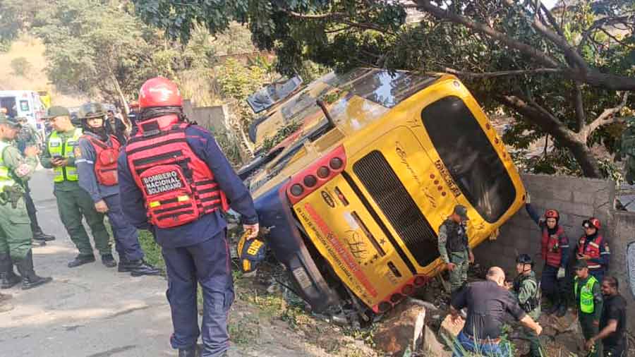 autobús Tazón